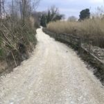 Pista ciclabile lungo fiume sud – Pescara (25)